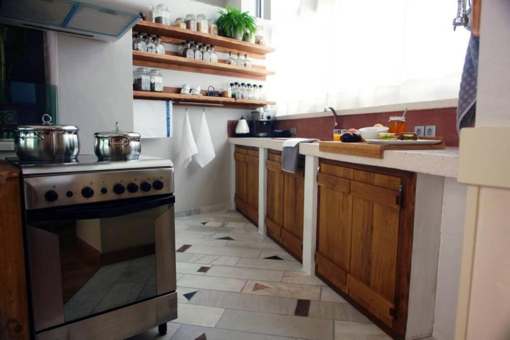 Unique - Spacious Studio With Rooftop / Thissio أثينا المظهر الخارجي الصورة
