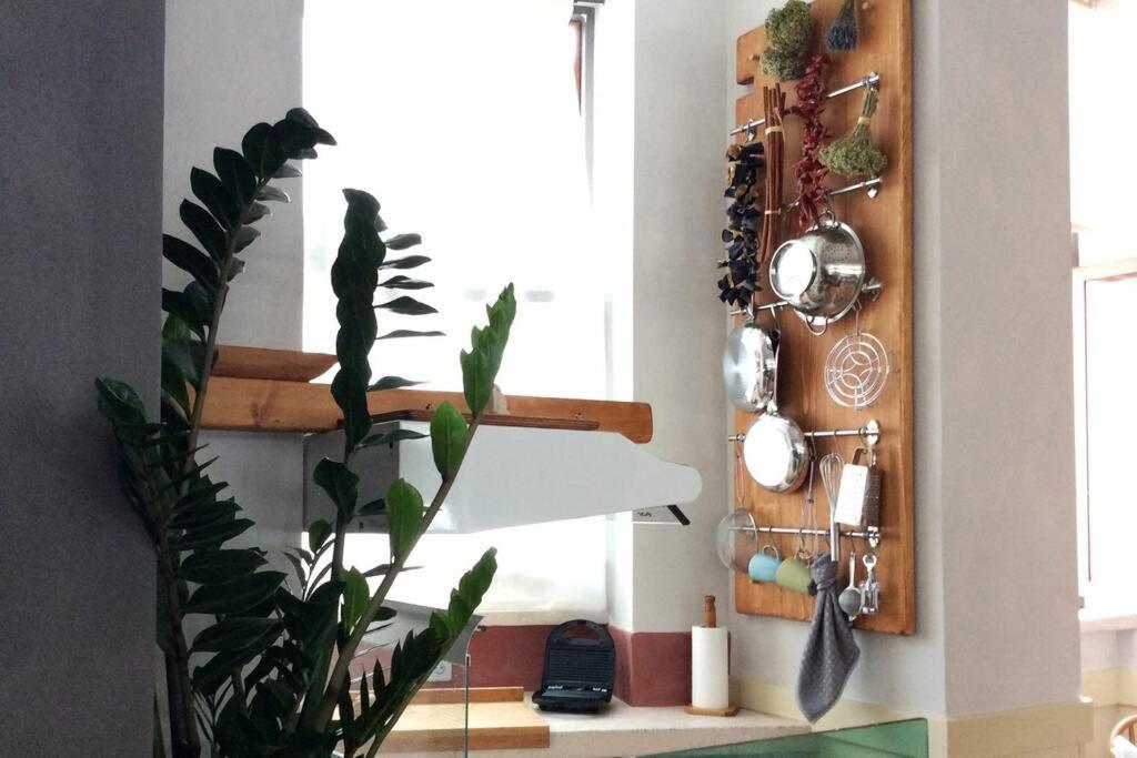 Unique - Spacious Studio With Rooftop / Thissio أثينا المظهر الخارجي الصورة