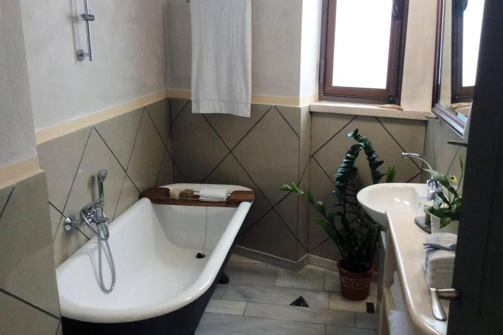Unique - Spacious Studio With Rooftop / Thissio أثينا المظهر الخارجي الصورة