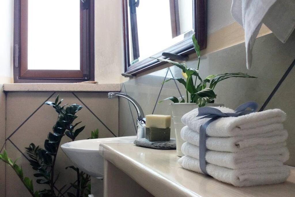 Unique - Spacious Studio With Rooftop / Thissio أثينا المظهر الخارجي الصورة
